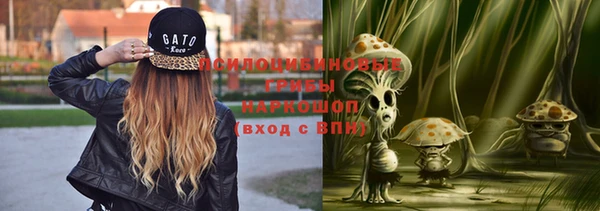 стафф Алексеевка