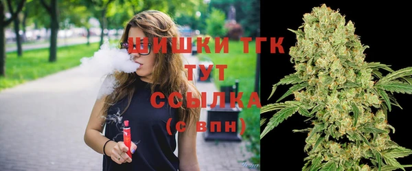 сатива Алзамай