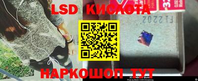 СК Канаш
