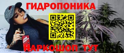 СК Канаш
