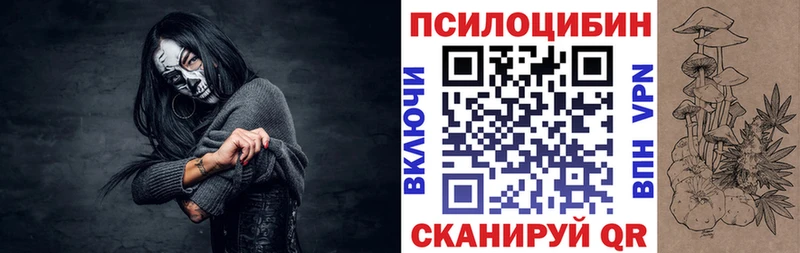 гидра рабочий сайт Мичуринск Галлюциногенные грибы Psilocybe купить наркоту