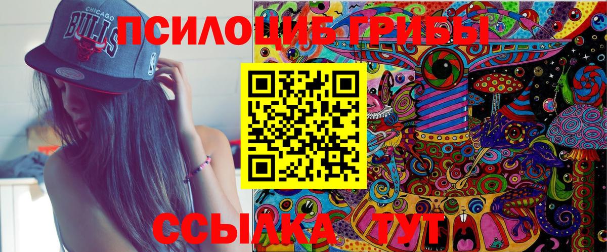 Псилоцибиновые грибы Psilocybine cubensis Мичуринск