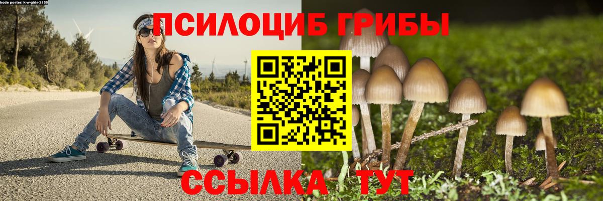 Мичуринск  Псилоцибиновые грибы мицелий  купить  сайты  Вход с VPN 