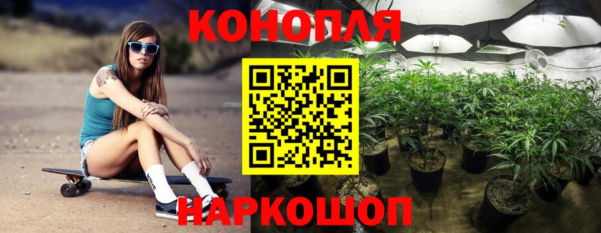 Галлюциногенные грибы Мичуринск